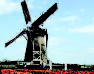 Clean energy will overtake gas soon: IEA clean