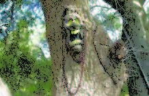 Ten Reasons Why Companies are not Jumping into the Sustainability Frey ten-reasons