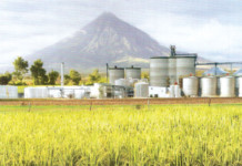 09.02.2050 – The End of the Age of Oil? 2050