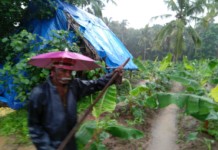 Greater Malabar Initiative to Promote Local Innovation for Local Problems IMG_20170701_161135-1024x768