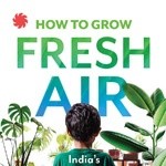 How to Grow Fresh Air: India’s top experts teach how to beat air pollution air