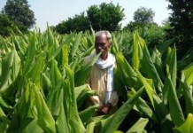 Zero Budget Natural Farming Cuts Water, Energy Use by Half May 2020 Cover