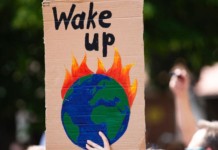 Pandemic, Biodiversity, Business – What India Can Do Pandemic Image