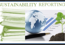 Is Turnover a Better Parameter than Market Cap for New Sustainability Reporting? sebi pic