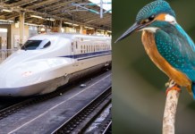 Biomimicry Frontiers Helps Set Up Net Positive Eco-Building in Bengaluru Biomimicry