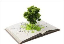 Lessons in Carbon Neutrality in Indian Universities Soon greening-our-schools