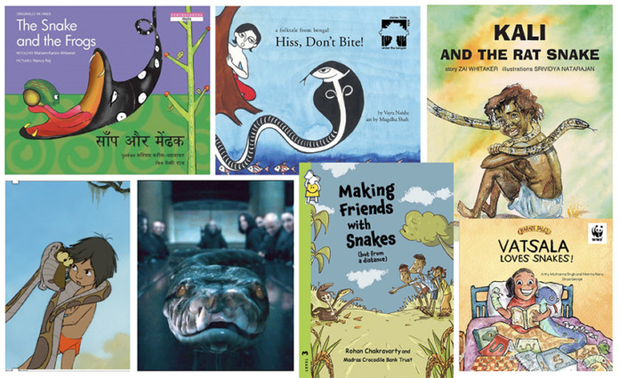 snakes feature picture