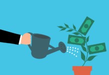 39 Green Business Ideas for Sustainable Startups investment-money-cash-watering-tree-hand-1625828-pxhere.com