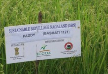 ICCOA’s Bio-village Raises Farmer Income Big Time Biovillage