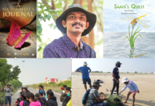 Young Children are Wilderness Themselves Photographs collage