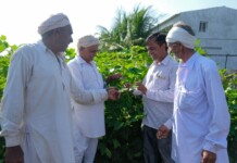 Ambuja Cements’ Clean Air Mission Helps 10,000 Farmers Ambuja Cement Foundation