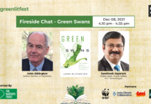 Say What’s Truly On Your Mind Green Swans