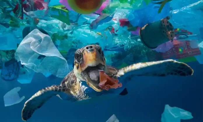 plastic waste in ocean
