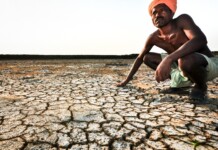 Save our Soil: Why We Need a Soil Protection Act Now save soil pic