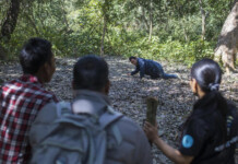 The World Needs More Citizen Scientists