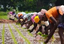 Rainmatter Foundation Turns 3