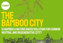 Carbon-Neutral Bengaluru – One Bamboo Per Citizen