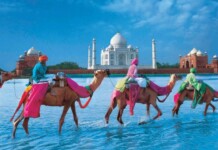 40% CXOs in Travel Sector Yet to Buy into ESG