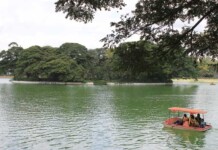 The Story of Bengaluru’s Confused Lakes: A Call to Action for Sustainable Lake Conservation