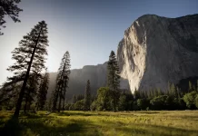 Alt Carbon to Help Farmers’ Improve Productivity