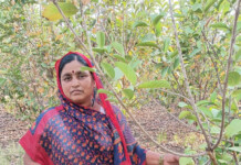 How Savitri Switched to Natural Farming and Saved Her Family
