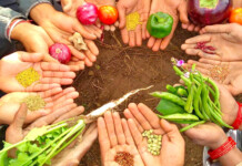 Saving Seeds is My Life’s Commitment – Vandana Shiva