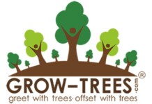 Native Trees to Replace Pine in Uttarakhand