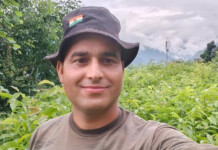 High-yielding, Shorter Walnut Tree Gets Best Innovation Award