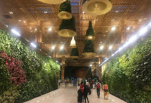 Airport Terminal Where Nature, Architecture and Travel Experience Blend