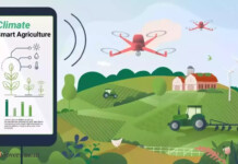 Climate-smart Agriculture is The Only Way