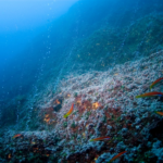 The Race for Deep-Sea Resources: Who Owns the Ocean?