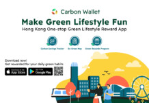 How Businesses Can Build Green Reward Programs