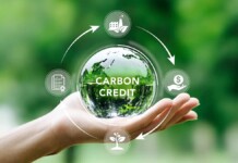 New Carbon Credit Mechanism Offers a Real Opening for Voluntary Climate Action