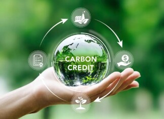 New Carbon Credit Mechanism Offers a Real Opening for Voluntary Climate Action